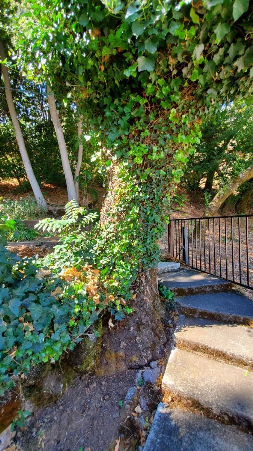Clear Lake Vista Resort Kelseyville Exterior foto